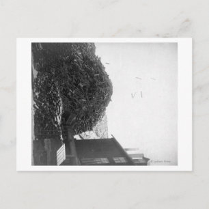 Cartão Postal Pilha de Madeira fora da Fábrica De Smet  Fotograf