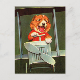 Cartão Postal piloto de cães