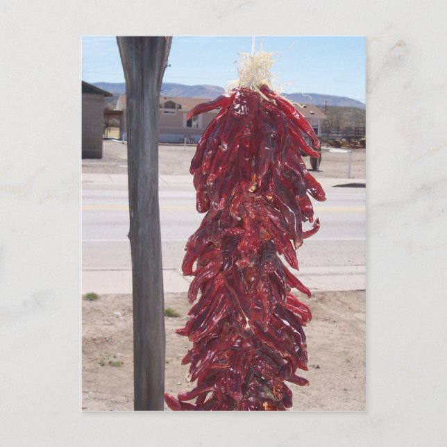 Cartão Postal pimentões-do-sul-africano e pimentões-quentes-verm (Frente)