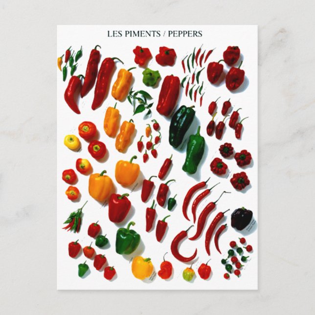 Cartão Postal Pimentos (Frente)