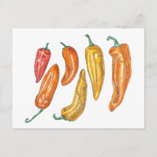 Cartão Postal Pimentos doces