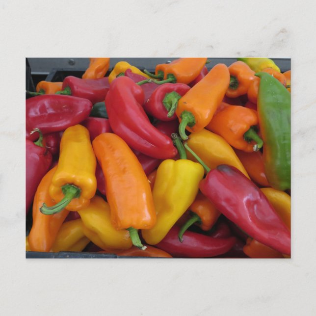 Cartão Postal Pimentos quentes (Frente)