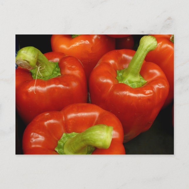 Cartão Postal Pimentos vermelhos (Frente)