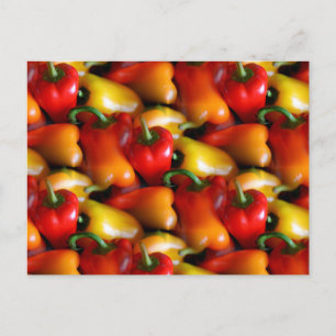 Cartão Postal Pimentos vermelhos e amarelos
