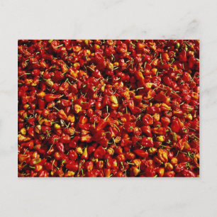 Cartão Postal Pimentos vermelhos, Mianmar