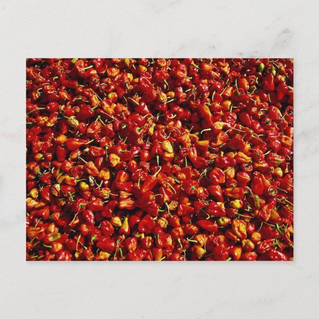 Cartão Postal Pimentos vermelhos, Mianmar (Frente)