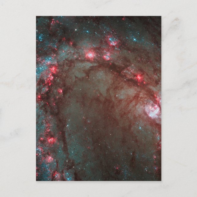 Cartão Postal Pinalgo do Sul (Frente)