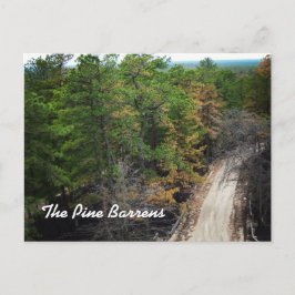 Cartão Postal Pine Barrens