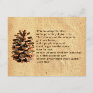 Cartão Postal Pine Cone E John Muir Citação