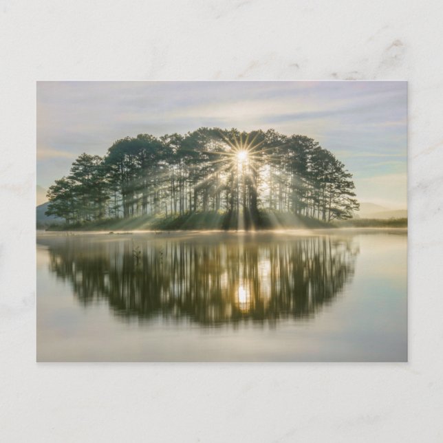 Cartão Postal Pine Island Sunray (Frente)