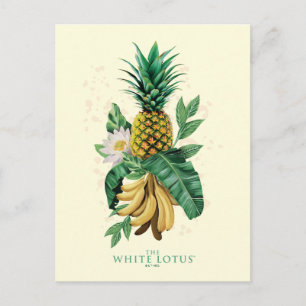 Cartão Postal Pineapple Suite no The White Lotus