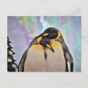 Cartão Postal Pinguim