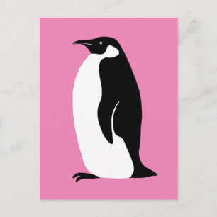 Cartão Postal Pinguim Cinto Preto-Preto-Cor-de-Rosa