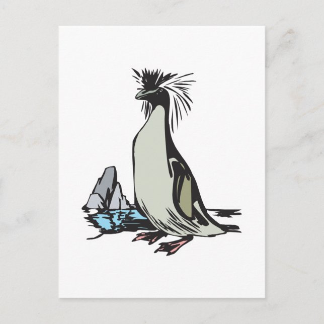 Cartão Postal pingüim-de-crista (Frente)