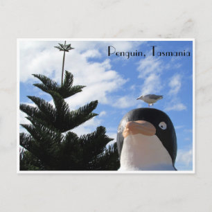Cartão Postal pinguim e gaivota