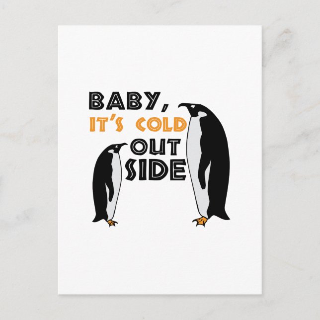 Cartão Postal Pinguim Frio (Frente)