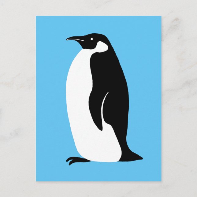 Cartão Postal Pinguim Gelado Aqua Preto Branco (Frente)