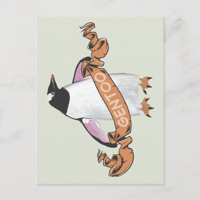 Cartão Postal Pinguim Gentoo (Frente)