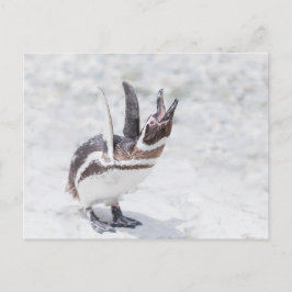 Cartão Postal Pinguim Gritante