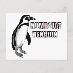 Cartão Postal Pinguim Humboldt