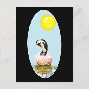 Cartão Postal Pinguim Nápoles no Sol