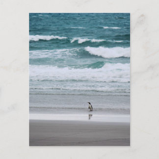 Cartão Postal Pinguim retornando do oceano