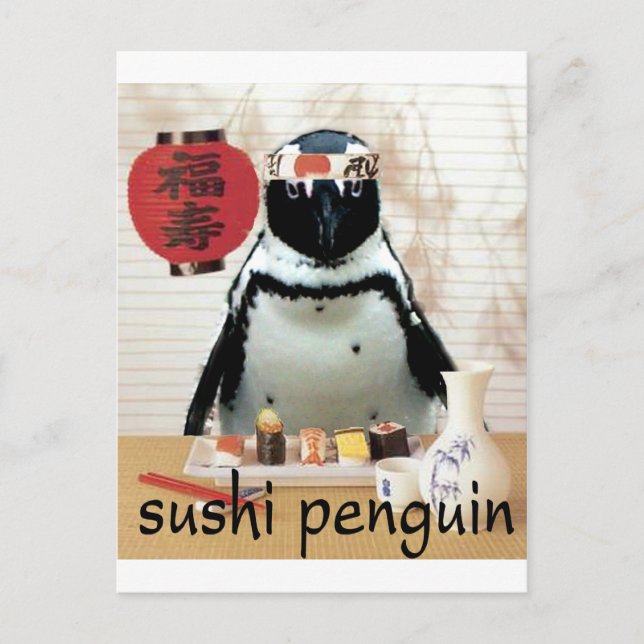 Cartão Postal pinguim sushi (Frente)