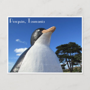 Cartão Postal pinguim tasmania