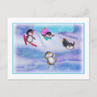 Cartão Postal Pinguins