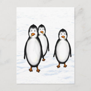Cartão Postal Pinguins