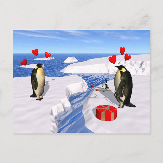 Cartão Postal Pinguins Amantes (Frente)