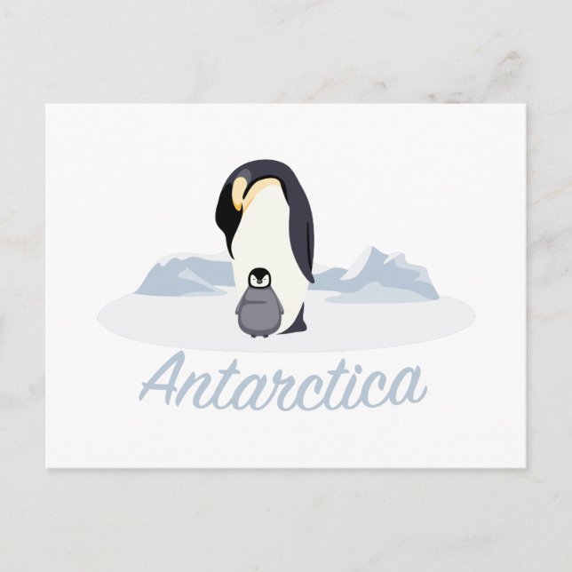 Cartão Postal Pinguins Antártica (Frente)