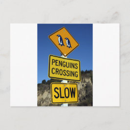 Cartão Postal Pinguins atravessando sinal amarelo de estrada
