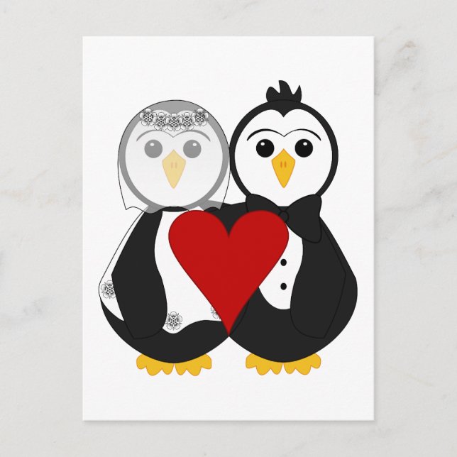 Cartão Postal Pinguins Casados Apaixonados (Frente)