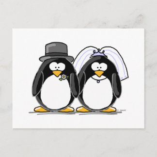 Cartão Postal Pinguins dos noivos