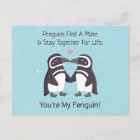 Pinguins Se Beijando, Engraçado Você É Meu Pinguim