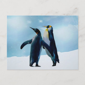 Cartão Postal Pinguins viva e deixe viver
