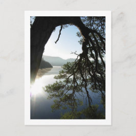 Cartão Postal Pinheiro de limpeza: Carrinho de Friar, Cartão-pos