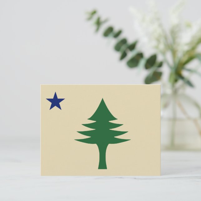 Cartão Postal Pinheiro e estrelado de 1901 do Estado do Maine (Em pé/Frente)