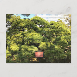 Cartão Postal Pinheiros com 300 anos