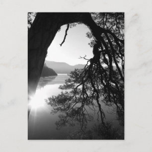 Cartão Postal Pinho de Mansinha: Aranha de Friar, Águas Derrubad