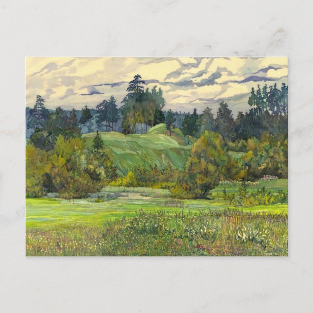 Cartão Postal Pinhos (Frente)