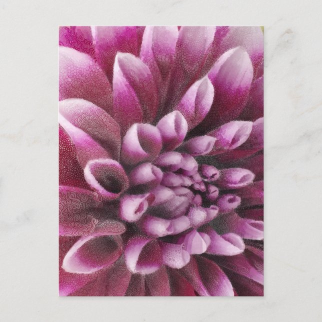 Cartão Postal Pink Dahlia (Frente)