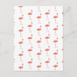 Cartão Postal Pink Flamingo Patterno Feminino