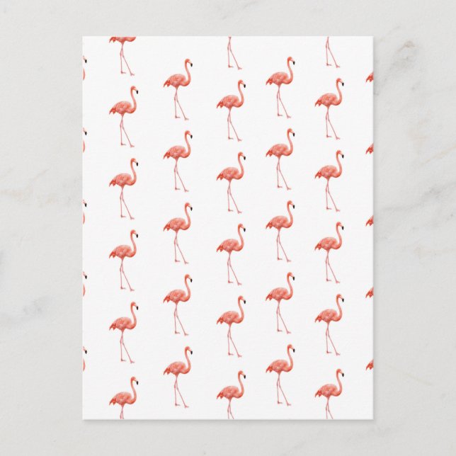Cartão Postal Pink Flamingo Patterno Feminino (Frente)