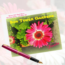 Pink Flower Bok Tower Gardens Lake Wales Flórida