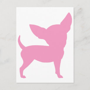 Cartão Postal Pink Funny Chihuahua