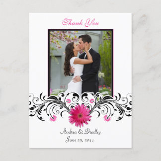 Cartão Postal Pink Gerbera Daisy Obrigado Cartão-Postal