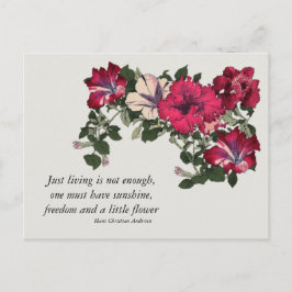 Cartão Postal Pink Petunias with Hans C Andersen quote