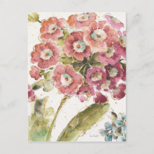 Cartão Postal Pink Primrose